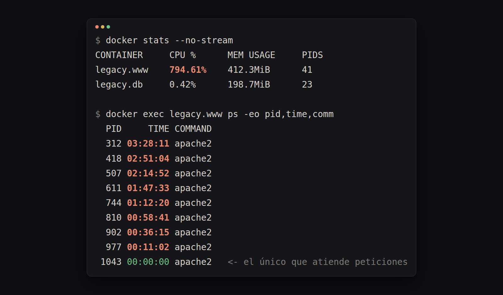 Terminal showing docker stats with the legacy.www container at 794.61% CPU, and below it the process list: eight apache2 workers with between 11 minutes and 3 hours 28 minutes of accumulated CPU time each, plus a ninth at 00:00:00